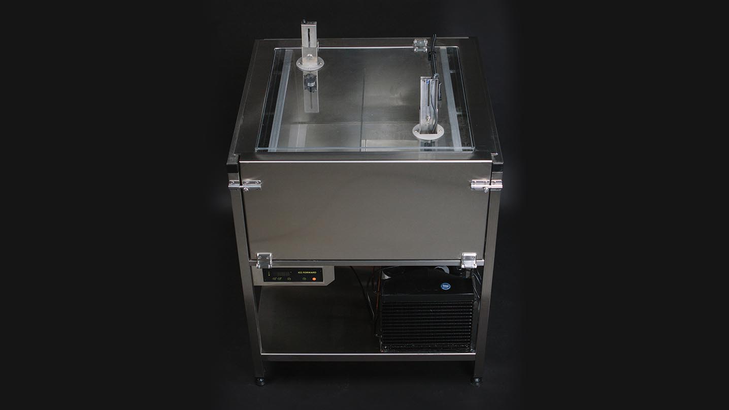 Ice Forward – The Ice Block Machine